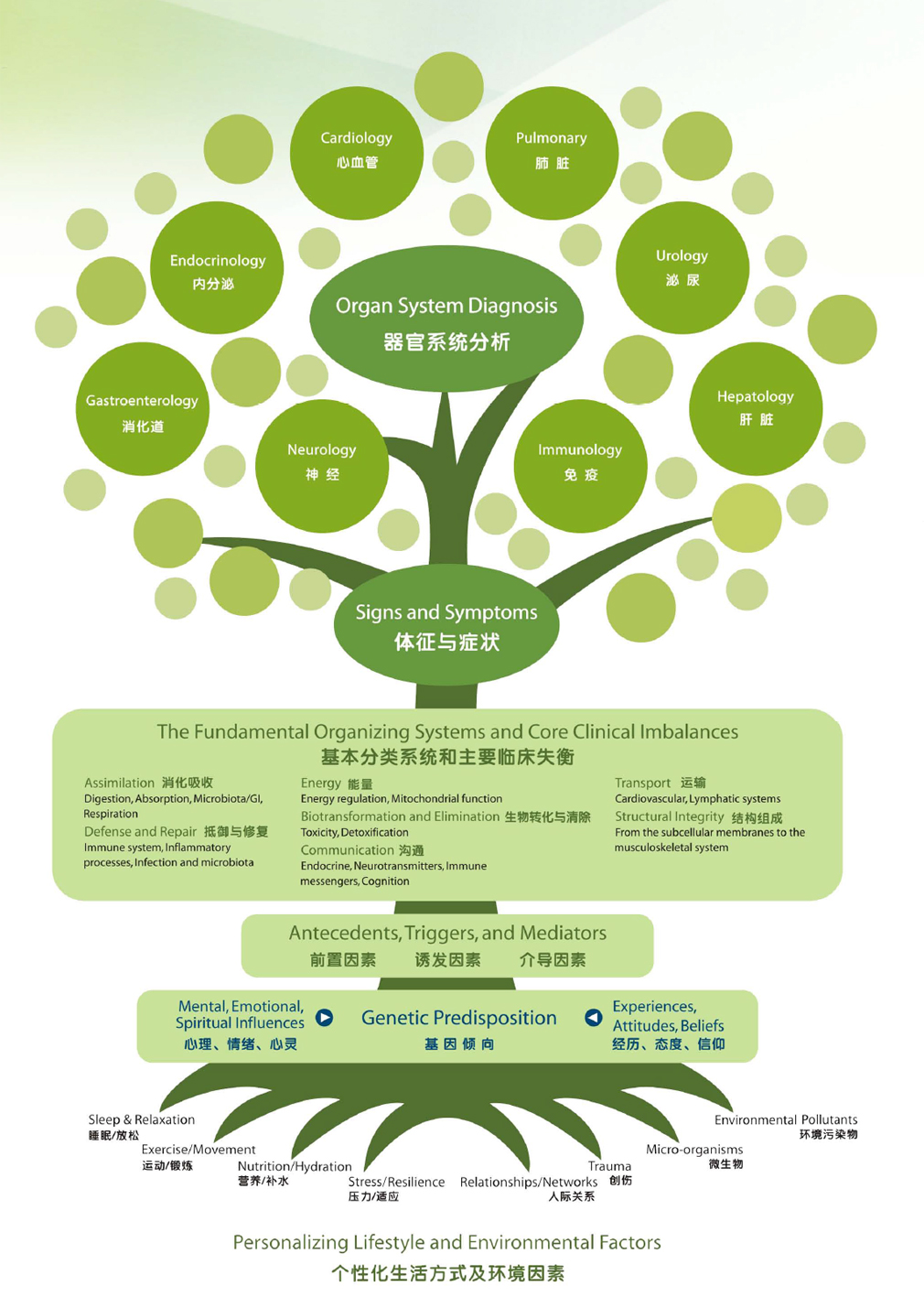 功能医学检测.jpg